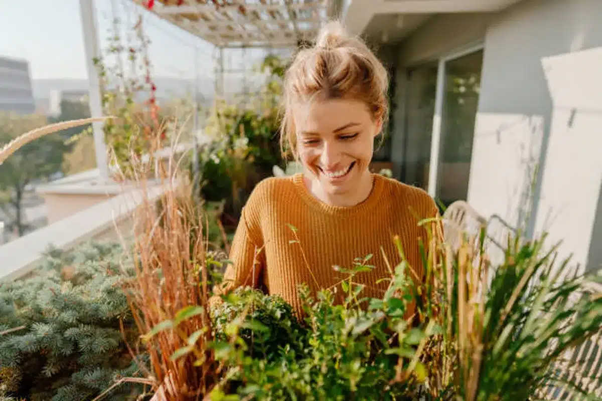 Wat betekent het als planten op het balkon gele bladeren hebben en waarom gebeurt dit?